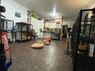 Kelly_Brent, Pet Boarder in Makati City