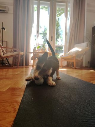 #