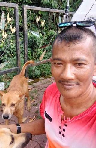 Veterinarian In Kota Damansara Shah Alam Dady Oyen Sporo Care Petbacker Selangor