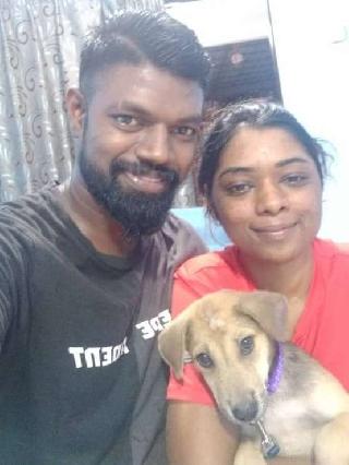 Cat Sitters di Batu 9 Cheras dengan Harga Terbaik oleh PetBacker