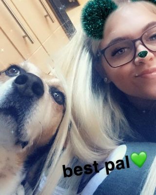 Pet Grooming in Dublin/ meath Dublin Megs Mutts PetBacker