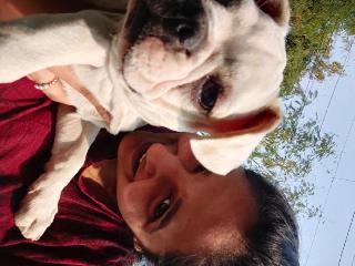 Doggy Daycare in metro hospital Gurugram Woof Woof Dog Daycare