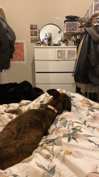#
