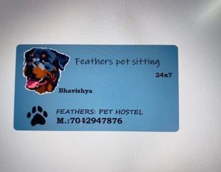 Pet Hotel Home Pet Boarding in New delhi, New Delhi Feathers Pet