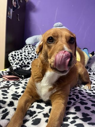 #