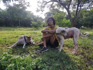 Pet Hotel Home Pet Boarding in Mohammadwadi, undri,, Pune Spots