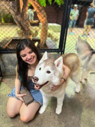 Bangkok Pup Cafe Near Me Pet Sitter In Pasir Ris Grove, Pasir Ris