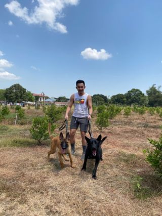 Dog Boarding Qc Dog Walking About Shield K9 Ottawa