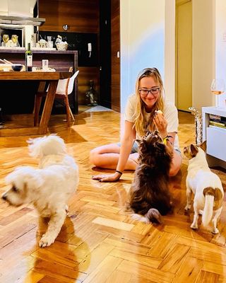 Pet Training in Avenue de la Gare, Esch-sur-Alzette Insightful