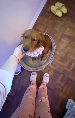 Pet Hotel Home Pet Boarding in Green Meadows Subdiv, Cebu City