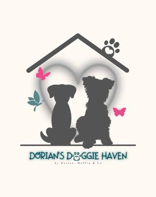 Pet Hotel Home Pet Boarding in Mont Kiara, Sri Hart, Kuala Lumpur