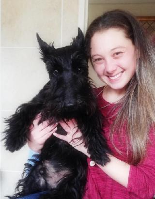 Pet Sitter in George, Garden Route, George Happy Canine Pet