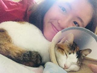 Taxi di Miri dengan Harga Terbaik oleh PetBacker