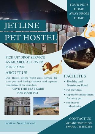 Pet Sitting Home Away From Home Dog Kennel Find In Home Pet