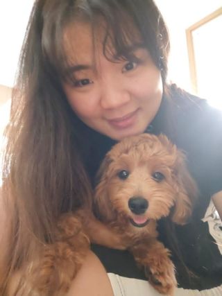 Liew, Pet Sitter in Kuala Lumpur