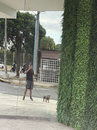 #