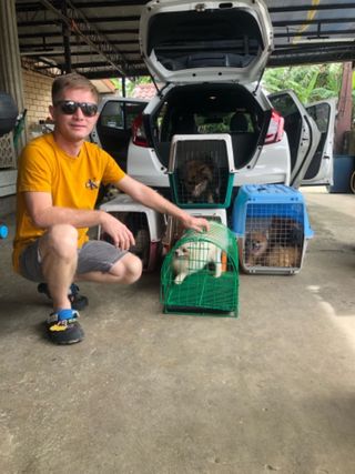 Pet Taxi Transport in Business bay, Dubai Chris Pet Taxi