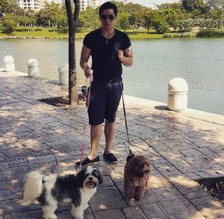 Ampang Jaya Best Pet Boarding Grooming For Dogs Cats With Pickup Petbacker Selangor