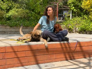 Pet Hotel Home Pet Boarding in tbilisi T Bilisi Sit Happens