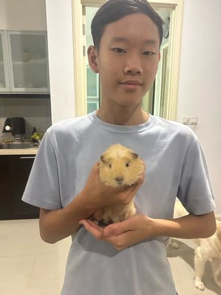 #