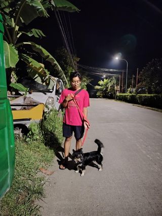 Pet Hotel Home Pet Boarding in Talamban, Cebu City,, Cebu City