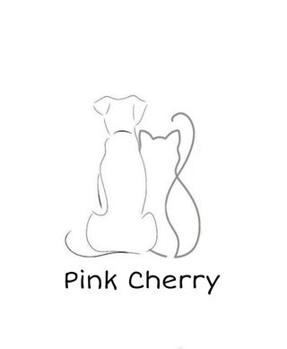 Pink, Pet Boarder in New Delhi