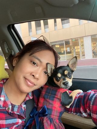 Pet Hotel Home Pet Boarding in Dubai Little Dogs Boarding Heaven