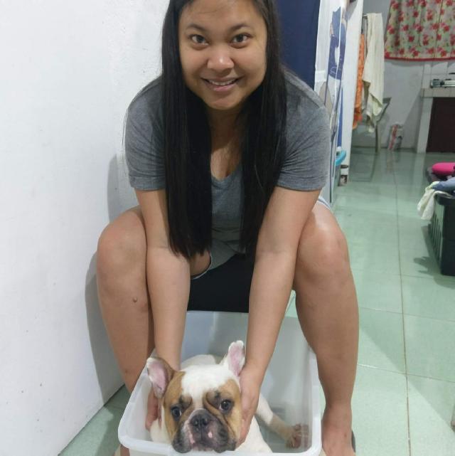 Pet Hotel Home Pet Boarding in Makati and Taguig, Makati City Mimo's Pet Lodging PetBacker