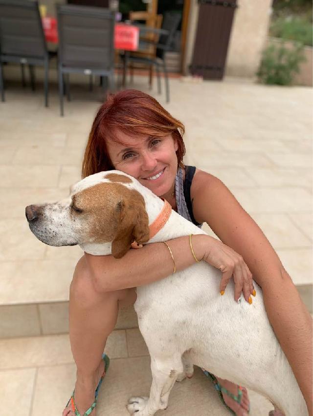 Dog, Cat Boarding in North scottsdale , Scottsdale Julia Scottsdale