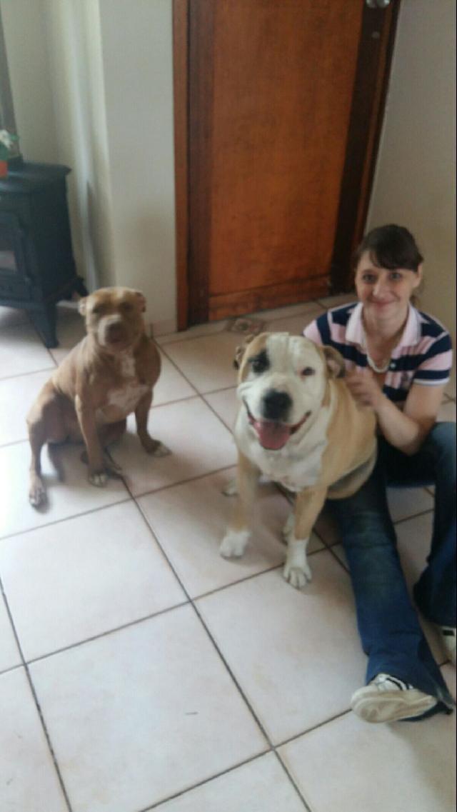 Pet Sitter in Johannesburg, Randburg Roxy Walks Fluffy Faces