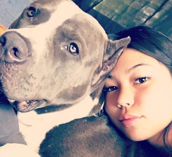 Pet Boarding in Interurban Avenue So, Tukwila Seattle Pet Boarding