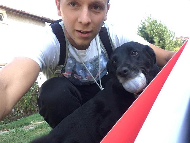 walk with me dog walking