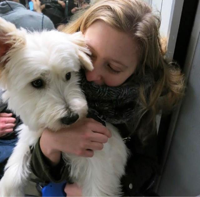 brindle waterproof dog bed