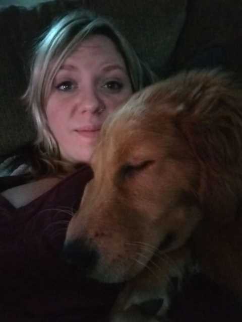 last minute dog boarding near me