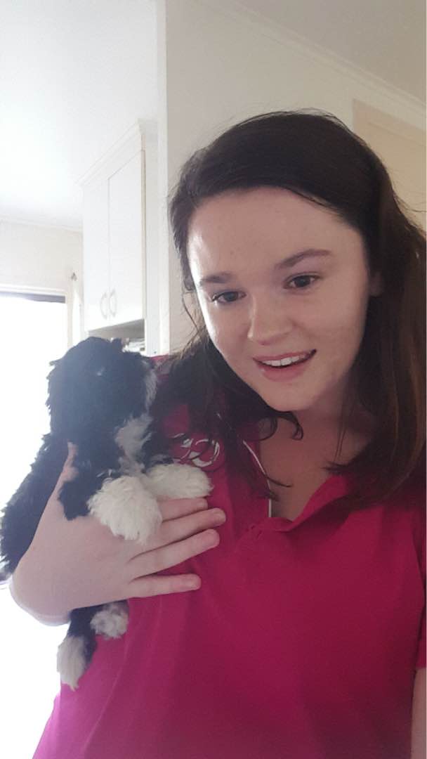 dog-walking-in-east-auckland-tuakau-jess-walking-service