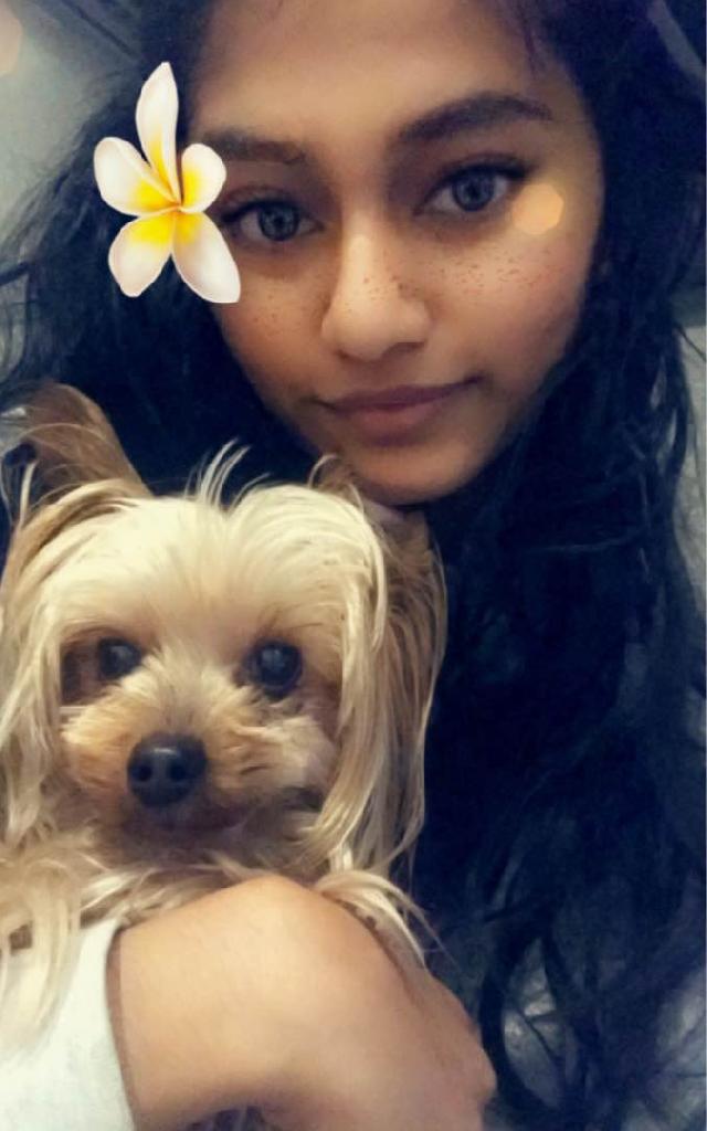 Pet Boarding in Essendon, Melbourne , Essendon Paw Care PetBacker