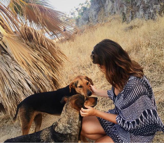 Pet Hotel Home Pet Boarding in Wien Vienna, Neubau Paradise For Your