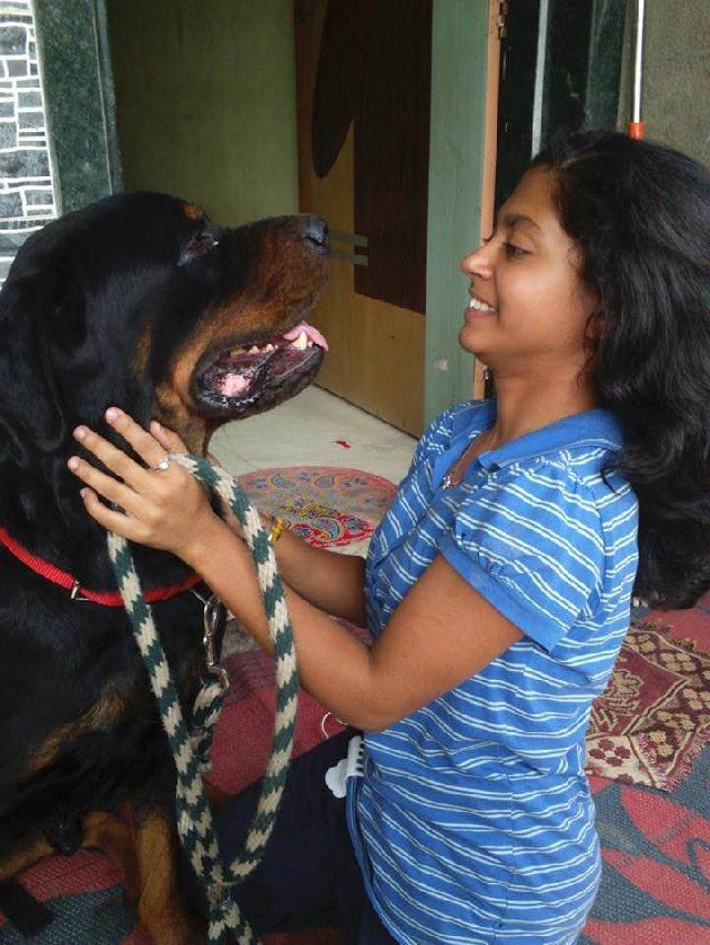 Dog Grooming in Badlapur East Katrap Roniee PetBacker