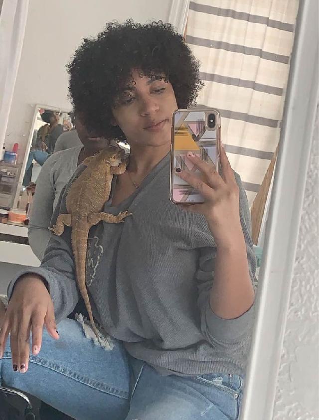 Pet Boarding in New York City, The Bronx Sitting With Iona