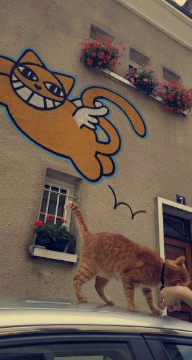 Toilettage Pour Animal A Montpellier Antigone Montpellier Visite A Domicile Petbacker Occitanie