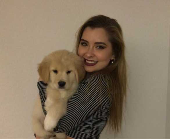 doggy day care bedford