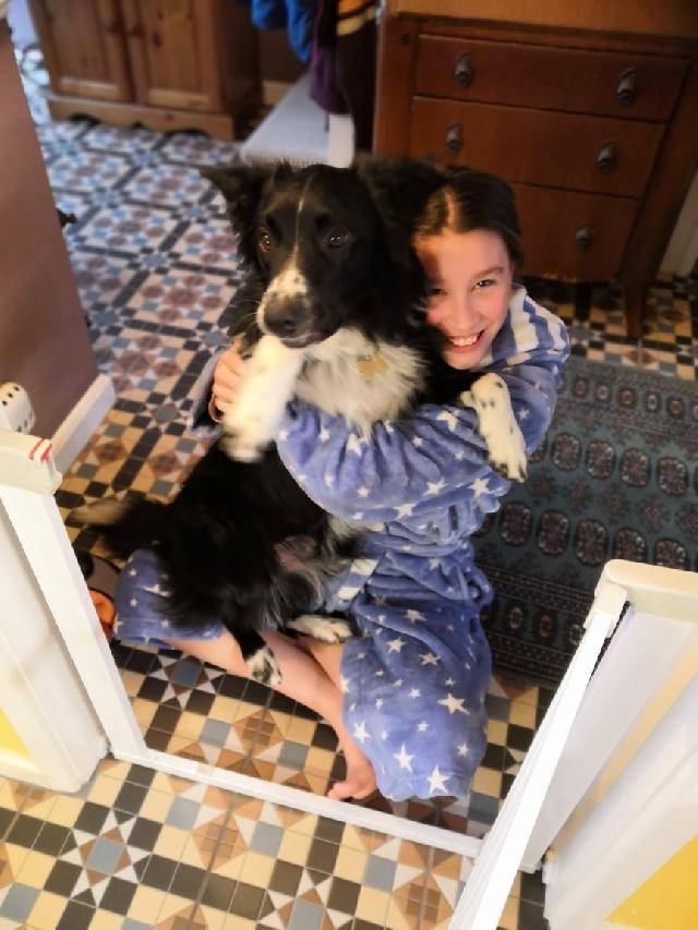 Dog Boarding in Tamworth , Tamworth D & K Doggy Daycare And Boarding