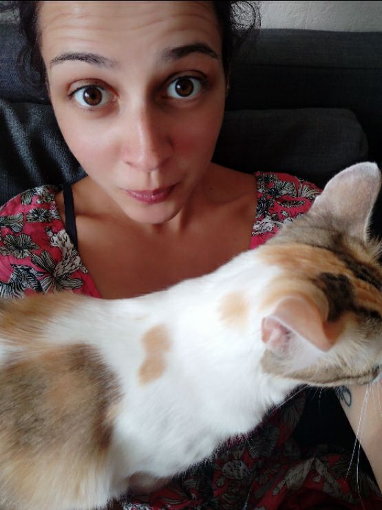 Toilettage Pour Animal A Montpellier Antigone Montpellier Visite A Domicile Petbacker Occitanie