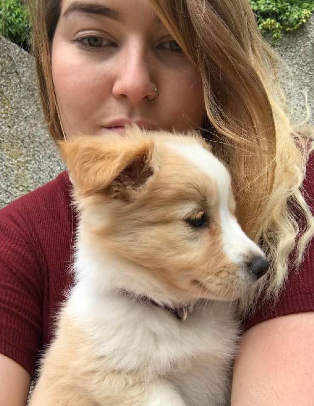 Dog, Cat Hotel Home Pet Boarding in Newbridge , Newbridge Kristinas