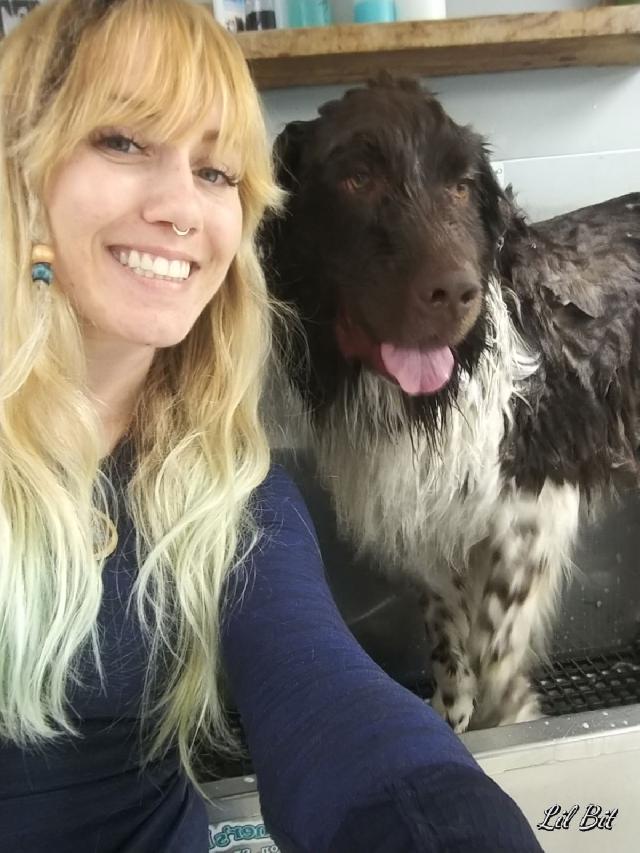 Pet Boarding in Greenville, Greenville Mandii S Boarding PetBacker