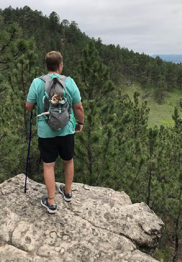 Dog, Cat Boarding in Myrtle Beach, Myrtle Beach State Park Jenn Pet