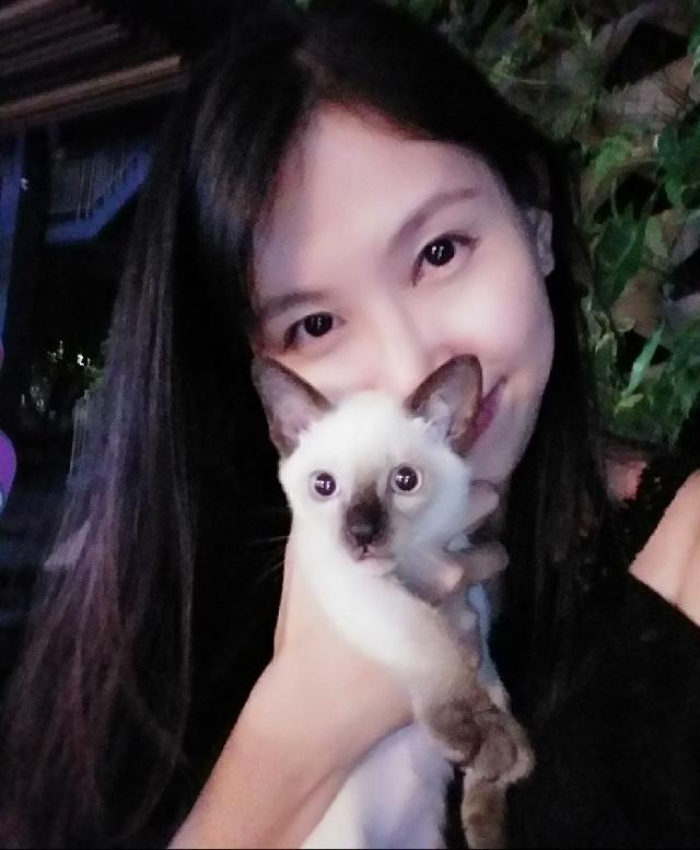 แมว โรงแรมรับฝากสัตว์เลี้ยงตามบ้าน ใน Sukhumvit Bangkok, ,กรุงเทพ