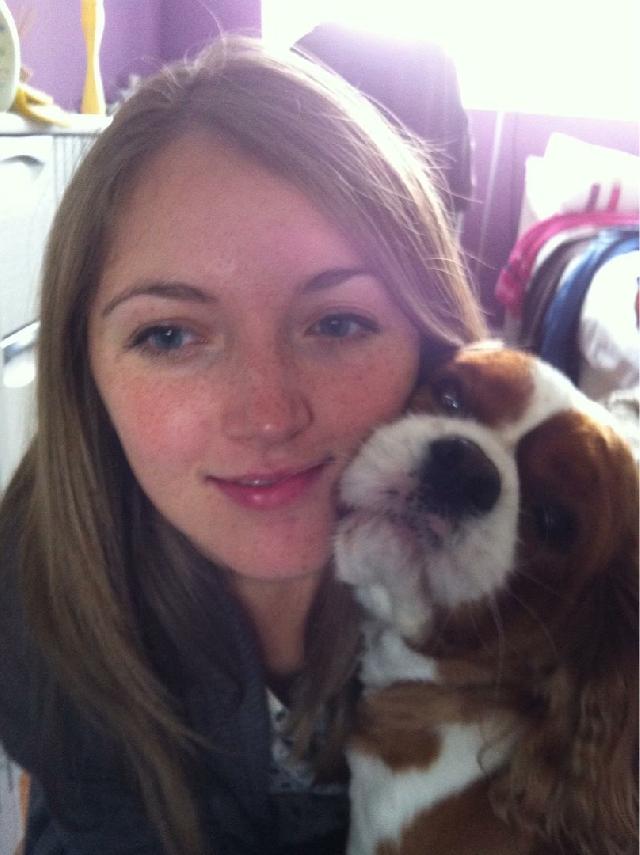 Dog Hotel Home Pet Boarding in Dubai, Dubai Emma’s Dog Care