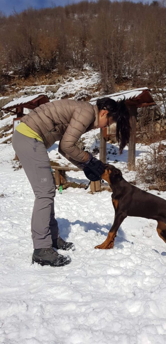 pet overnight stay near me