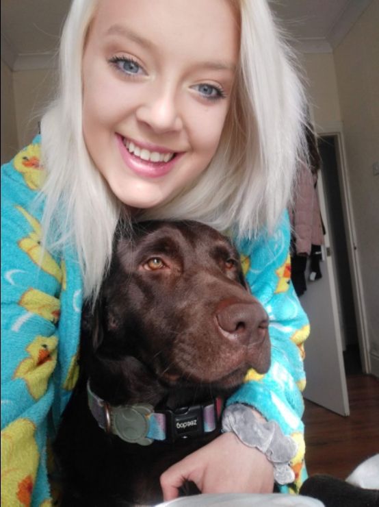 Pet Boarding in Hull, England Thefourpaws PetBacker Home Pet Hotel